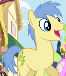 Size: 662x763 | Tagged: safe, screencap, daisy, flower wishes, goldengrape, sir colton vines iii, earth pony, pony, g4, pinkie pride, background pony, male, solo focus, stallion