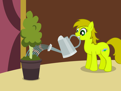 Size: 640x480 | Tagged: safe, artist:aha-mccoy, oc, oc only, earth pony, pony, nopony-ask-mclovin, female, mare, mouth hold, potted plant, solo, watering, watering can