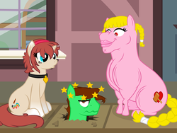 Size: 640x480 | Tagged: safe, artist:aha-mccoy, oc, oc only, oc:corel, oc:dick, oc:helga starkehuf, earth pony, pegasus, pony, unicorn, nopony-ask-mclovin, circling stars, collar, female, gradient hooves, male, mare, muscles, muscular female, stallion