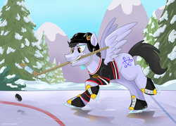 Size: 1980x1416 | Tagged: safe, artist:spainfischer, oc, oc only, oc:wing, pony, chicago blackhawks, hockey, national hockey league, nhl, solo