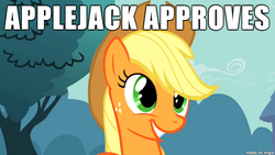 Size: 610x343 | Tagged: safe, applejack, earth pony, pony, g4, applejack approved, image macro, meme, seal of approval, solo