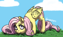 Size: 1266x754 | Tagged: safe, artist:draneas, fluttershy, pegasus, pony, g4, :t, caught, cloud, eating, female, fluffy, grass, grazing, herbivore, horses doing horse things, leg fluff, looking at you, mare, nom, puffy cheeks, solo, wide eyes, wing fluff