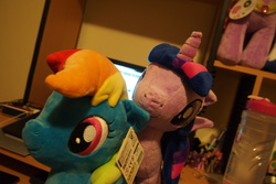 Size: 2544x1696 | Tagged: safe, artist:dynasty-dawn, rainbow dash, twilight sparkle, g4, computer, ear bite, ear tag, female, irl, lesbian, photo, plushie, ship:twidash, shipping