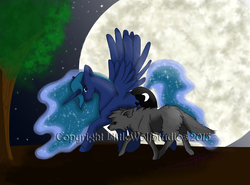 Size: 6900x5100 | Tagged: safe, artist:littlewolfstudios, princess luna, pony, wolf, g4, absurd resolution, moonbutt, moonlight, night, night sky, princess, stars, trotting, walking, watermark