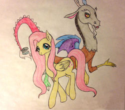 Size: 1393x1224 | Tagged: safe, artist:ameliacostanza, discord, fluttershy, g4, female, male, marriage proposal, ship:discoshy, shipping, straight, traditional art