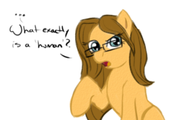 Size: 496x338 | Tagged: safe, artist:kudalyn, oc, oc only, oc:kudalyn, ask, glasses, questionthekudas, solo, tumblr
