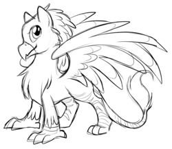 Size: 1096x950 | Tagged: safe, artist:centchi, oc, oc only, griffon, monochrome, solo