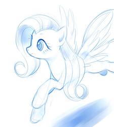 Size: 630x700 | Tagged: safe, artist:kosukegawa, fluttershy, g4, female, monochrome, sketch, solo