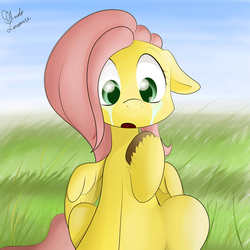 Size: 2000x2000 | Tagged: safe, artist:ando, fluttershy, g4, crying, cute, day, female, grass, high res, solo