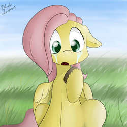 Size: 2000x2000 | Tagged: safe, artist:ando, fluttershy, g4, crying, cute, female, high res, solo, unshorn fetlocks