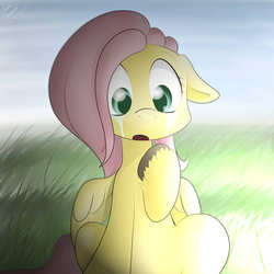 Size: 2000x2000 | Tagged: safe, artist:ando, fluttershy, g4, crying, cute, female, found, high res, night, solo