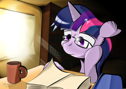Size: 3000x2111 | Tagged: safe, artist:ando, twilight sparkle, g4, book, glasses, high res, house, reading, room, sunlight
