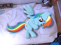 Size: 750x562 | Tagged: safe, artist:tesla51, artist:waranto, rainbow dash, pegasus, pony, g4, bed, crying, curled up, female, irl, mare, photo, ponies in real life, sad, solo, spread wings, vector, wings