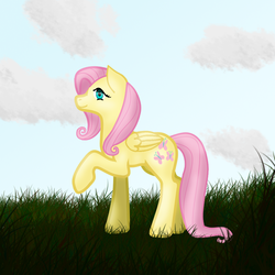 Size: 1000x1000 | Tagged: safe, artist:zaspin-r, fluttershy, g4, female, raised hoof, solo