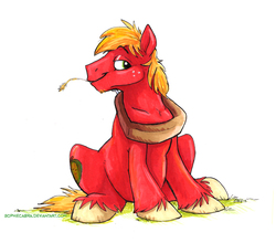 Size: 700x615 | Tagged: safe, artist:spainfischer, big macintosh, earth pony, pony, g4, canterlot high, cute, fluffy, goatee, lidded eyes, looking at you, macabetes, male, simple background, sitting, smiling, solo, stallion, straw, unshorn fetlocks, white background