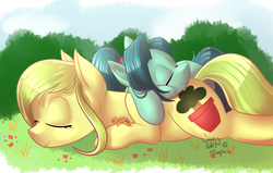 Size: 1000x636 | Tagged: dead source, safe, artist:php131, artist:sugaryviolet, oc, oc only, oc:cumulonimbus, oc:sequoia, pony, collaboration, cute, duo, macro, size difference, sleeping