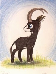 Size: 775x1031 | Tagged: safe, artist:thefriendlyelephant, oc, oc only, oc:sabe, antelope, giant sable antelope, animal in mlp form, cloven hooves, grass, horns, solo, traditional art