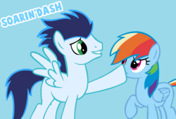 Size: 1412x956 | Tagged: safe, artist:sapphireartemis, rainbow dash, soarin', g4, blank flank, boop, female, male, ship:soarindash, shipping, straight