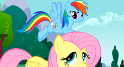 Size: 1098x597 | Tagged: safe, screencap, fluttershy, rainbow dash, pegasus, pony, g4, sonic rainboom (episode)