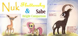 Size: 1298x615 | Tagged: safe, artist:thefriendlyelephant, fluttershy, oc, oc:nuk, oc:sabe, antelope, gerenuk, giant sable antelope, g4, grass, height difference, size comparison, traditional art