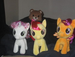 Size: 1024x768 | Tagged: safe, apple bloom, scootaloo, sweetie belle, g4, build-a-bear, cutie mark crusaders, irl, pedobear, photo, plushie, this will end in rape