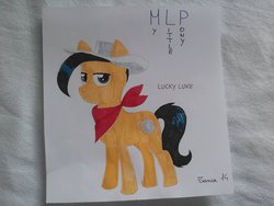 Size: 1024x768 | Tagged: safe, artist:theitaliangirl92, earth pony, pony, lucky luke, ponified