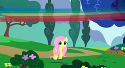 Size: 1099x597 | Tagged: safe, screencap, fluttershy, pegasus, pony, g4, my little pony: friendship is magic, sonic rainboom (episode), female, rainbow, solo