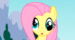 Size: 1099x597 | Tagged: safe, screencap, fluttershy, pony, g4, sonic rainboom (episode), derp, female, solo