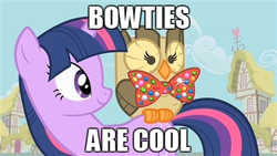 Size: 400x225 | Tagged: safe, owlowiscious, g4, bowtie, bowties are cool, caption, doctor who, image macro, meme, text