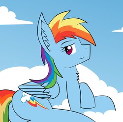 Size: 898x889 | Tagged: safe, artist:kenolax21, rainbow dash, pegasus, pony, g4, backwards cutie mark, butt, cloud, female, plot, solo