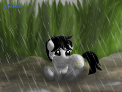 Size: 1000x750 | Tagged: safe, artist:anna-krylova, pony, crying, nae, ponified, prone, rain, solo, sushi oji