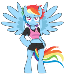 Size: 1000x1140 | Tagged: safe, artist:dbkit, rainbow dash, pegasus, anthro, unguligrade anthro, g4, bandaid, clothes, hand on hip, midriff, shorts, simple background, solo, spread wings, tank top, transparent background, wings