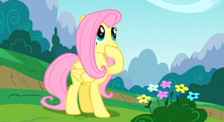 Size: 1099x597 | Tagged: safe, screencap, fluttershy, pegasus, pony, g4, season 1, sonic rainboom (episode), amused, covering mouth, female, looking up, mare, solo