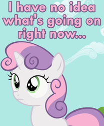 Size: 500x600 | Tagged: safe, screencap, sweetie belle, g4, the cutie pox, caption, confused, female, image macro, reaction image, solo