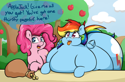 Size: 2500x1639 | Tagged: safe, artist:graphenescloset, pinkie pie, rainbow dash, earth pony, pegasus, pony, g4, addiction, apple, bits, chubby cheeks, cloud, dashaholic, drool, fat, impossibly large butt, morbidly obese, obese, obsession, open mouth, rainblob dash, rainbutt dash, the ass was fat, tongue out, tree