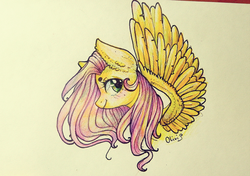 Size: 975x687 | Tagged: safe, artist:olivineal, fluttershy, g4, female, solo, traditional art