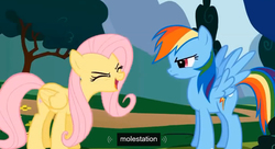 Size: 1290x702 | Tagged: safe, edit, edited screencap, screencap, fluttershy, rainbow dash, g4, sonic rainboom (episode), caption, meme, molestation, youtube caption