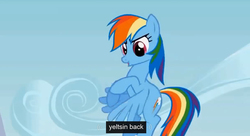 Size: 1290x702 | Tagged: safe, screencap, rainbow dash, g4, sonic rainboom (episode), boris yeltsin, duckface, meme, text, youtube caption