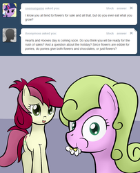 Size: 650x800 | Tagged: safe, artist:why485, daisy, flower wishes, roseluck, ask the flower trio, g4, ask, tumblr