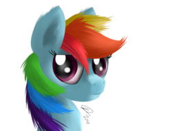 Size: 3840x2937 | Tagged: safe, artist:raindashdragon, rainbow dash, pony, g4, female, high res, solo