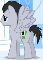 Size: 562x785 | Tagged: safe, screencap, lucky clover, pegasus, pony, g4, sonic rainboom (episode), background pony, cropped, male, solo, stallion