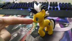 Size: 1000x563 | Tagged: safe, rainbow dash, twilight sparkle, oc, oc:cabbie, g4, boop, finger, hand, irl, keyboard, photo, ponycon nyc