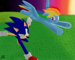 Size: 1280x1024 | Tagged: safe, artist:megaartist923, rainbow dash, g4, crossover, male, race, sonic the hedgehog, sonic the hedgehog (series), sunset