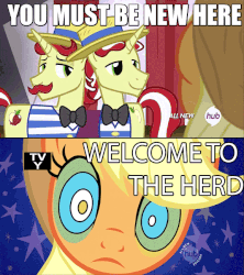 Size: 576x648 | Tagged: safe, screencap, applejack, flam, flim, g4, leap of faith, the return of harmony, animated, bowtie, caption, flim flam brothers, hat, hub logo, hubble, image macro, kaa eyes, meme, meta, reaction image, the hub, tv rating, welcome to the herd, you must be new here
