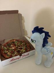 Size: 600x800 | Tagged: safe, artist:onlyfactory, soarin', g4, bootleg, irl, old cutie mark, photo, pizza, plushie