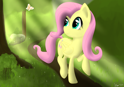 Size: 2000x1400 | Tagged: safe, artist:ntsevenfour, fluttershy, butterfly, g4, female, solo