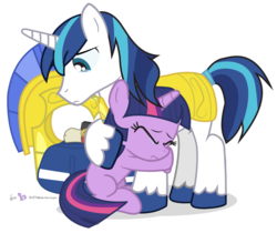Size: 1000x840 | Tagged: safe, artist:dm29, shining armor, twilight sparkle, g4, armor, crying, cute, duo, hug, royal guard, simple background, transparent background, twily