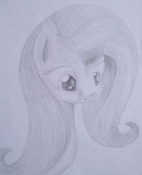 Size: 1024x1260 | Tagged: safe, artist:marmorexx, fluttershy, g4, monochrome, traditional art