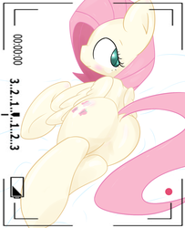 Size: 1260x1552 | Tagged: artist needed, source needed, safe, fluttershy, g4, butt, camera, camera shot, dock, female, plot, solo, viewfinder