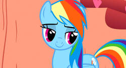 Size: 1099x597 | Tagged: safe, screencap, rainbow dash, pony, g4, sonic rainboom (episode), female, lidded eyes, solo